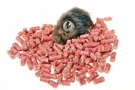 Image result for ratpoison