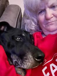 Canelito's vet visit for arthritis treatment