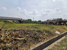 Tampak jelas di dalamnya bh hitam yang tak mampu menampung isinya, sehingga dua gundukan besar dan kenyal itu membentuk lipatan di tengahnya. Tanah Lot Di Kampung Tersusun Tasek Untuk Dijual Rm160k