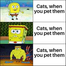 Depending On Their Hourly Mood Swings Memes