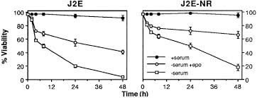 Последние твиты от j2e (@j2eesigelec). Disrupted Signaling In A Mutant J2e Cell Line That Shows Enhanced Viability But Does Not Proliferate Or Differentiate With Erythropoietin Journal Of Biological Chemistry