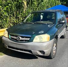 Image result for Mica Green 2000 Tiburon