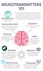Pin By Happy Cellular On 17 In 2020 Brain Facts Medical Knowledge Brain Anatomy