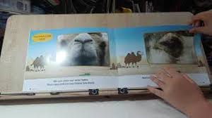 Beautifully narrated moral stories in hindi with 3d character animation, these hindi moral stories are written with value building. Camel And Fox Herunterladen