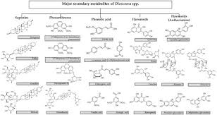 Image result for Dioscorea schimperiana