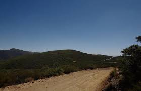 Bear Valley Road, California