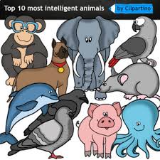 Top 10 Of The Most Intelligent Animals On Earth Clipart By Clipartino Earth Clipart Clip Art Clipart Black And White