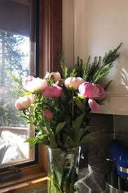 Surf pounds all day, beats all night, never rests. How To Cut And Preserve Fresh Peonies For Entertaining