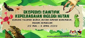 Portal rasmi jabatan perhutanan negeri sembilan. Utama