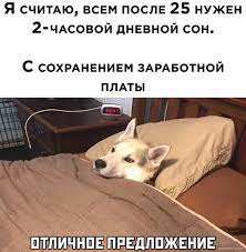 Мемы - дневной сон | Facebook