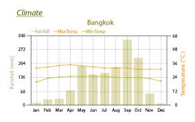 Bangkok Day Tours Extraordinary Elephant Day Trip