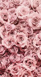 Pink And Gold And White Rose Gold Aesthetic Wallpapers For Iphone 309182 Hd Wallpaper Backgrounds Download ✓ free for commercial use ✓ high quality images. rose gold aesthetic wallpapers