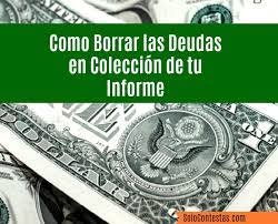 Con temperaturas inferiores a los 18 °c bajo cero por al menos 4 días consecutivos, también se eliminarán los bichos y sus huevos. Como Borrar Las Deudas En Coleccion De Tu Informe De Credito