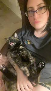 Cats being uncooperative for photos