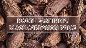 Black Cardamom Price Today Arunachal Black Cardamom Price Nagaland Large Cardamom Youtube What is meaning of badi in english? black cardamom price today arunachal