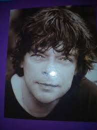 ≥ 10xVirginia Andrews,Melody,Ruby reeks uitgv zie beschrijving — Thrillers  — Marktplaats