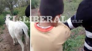 Horrendo: 3 niños abusaron de un burro, lo filmaron y viralizaron el video  