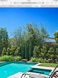 Cuppresus Pencil Pines Pool Landscaping Pool Garden Landscape Design