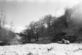 We did not find results for: Shooting With Expired Black And White Film Lomography