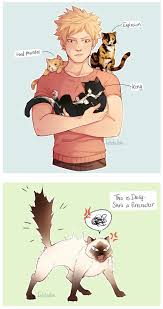 #bna #bna oc #brand new animal #brand new animal oc #do not call me a furry i swear to god. Pin By Little Fox On Boku No Hero Academia My Hero My Hero Academia Episodes Hero