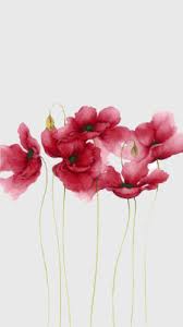 Up to 70% off top brands & styles. Pretty Pink Flower Wallpaper Tumblr Hd Wallpaper