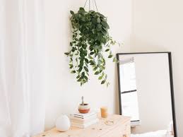 The modern wall art plaque has the hanging hardware already attached for easy wall display. 8 Best Houseplants For Hanging Baskets