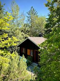 2,000 cabins to book online for your germany trip from £ 33 per night. Quaint Log Cabin In The Wooded Taunus Area Near Frankfurt Dogs Are Welcome Aug 2021 Cabin In Langgoens Germany