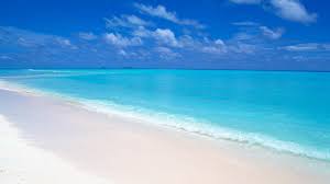 Beach Hd Wallpaper 1920x1080 Beach Wallpaper Maldives Beach Maldives Wallpaper Assassins creed valhalla female eivor axe 8k.
