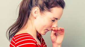 Check spelling or type a new query. Immunsystem Wie Werde Ich Meine Allergie Wieder Los Brigitte De