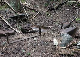 Great Northern, and the Wellington Avalanche of 1910 Photo Gallery by Ross  Fotheringham at pbase.com