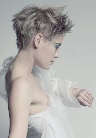 Feminine Short Haircuts Hairstyles 2014 Men Haircuts Jpg 490 700 Short Hair With Layers Thin Hair Men Funky Hairstyles