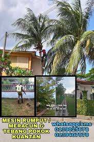 Salah satunya penggunaan perhitungan harga pokok penjualan. Servis Mesin Rumput Kuantan Posts Facebook