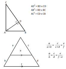 Rangkuman Teorema Pythagoras Materi Matematika Smp Mts Kelas 8 K13 Blognya Pabaiq