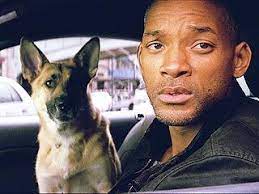 I Am Legend Will Smith Movies I Am Legend Will Smith