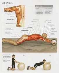 This is where the ab wheel makes its debut. Pin On Getfit