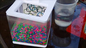 Set Up Marina Betta Ez Care Aquarium Kit Youtube