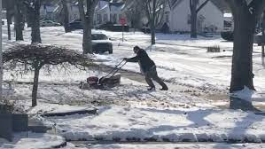 Michigan Man Tries To Mow His Lawn That Is Covered In Snow