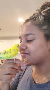 We're deeply saddened to share that an Endangered Whooping Crane, lovingly  named "Ducky," died earlier this month due to Highly Pathogenic Avian  Influenza (HPAI). The loss marks the first confirmed death of
