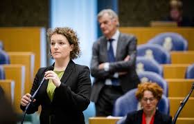 Afbeeldingsresultaat voor menno snel leijten toeslagen debat