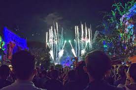 7 Tips For Spending New Year S Eve At Disneyland