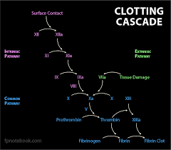 Image result for Anticoagulation Pathway