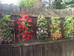 Hanging Grow Bags 5 Hole Containers Containers Hanging Plants Outdoor Hanging Plants On Fence Hanging Plants