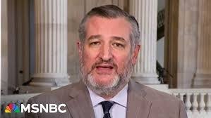 Nabil Samaan's Instagram, Twitter & Facebook