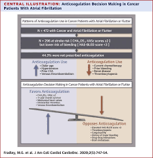 Image result for Anticoagulation