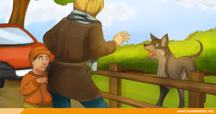 Hund Bellt Passanten An