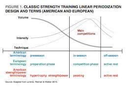 Resistance Training Periodization In Women New Insight For
