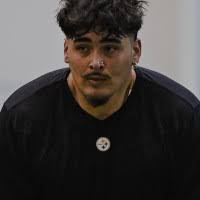 1900+ "Dunkle" profiles