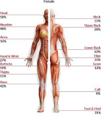 Muscles that move the thigh groin muscles th. 2018 Pain Index Liebscher Bracht
