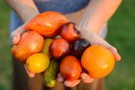 Megan rain dp'd, she takes two loads in her asshole! Creative Vegetable Gardener Megan Cain Author Of The Creative Vegetable Gardener