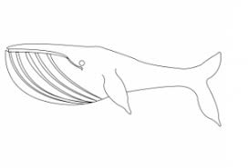 Free fish coloring pages, dolphin coloring pages, whale coloring pages, and more for you to color in online, or turn into a printable coloring page to use crayons, markers, and paints. Marine Life Coloring Pages Free Printable Online Blog